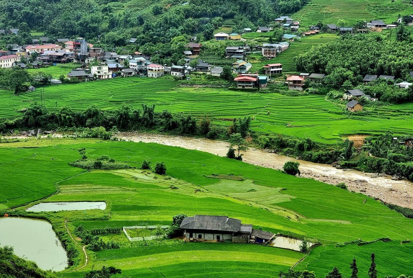 Ta Van in summer: lush green paddies beside the Muong Hoa stream, with houses on the hillside above.