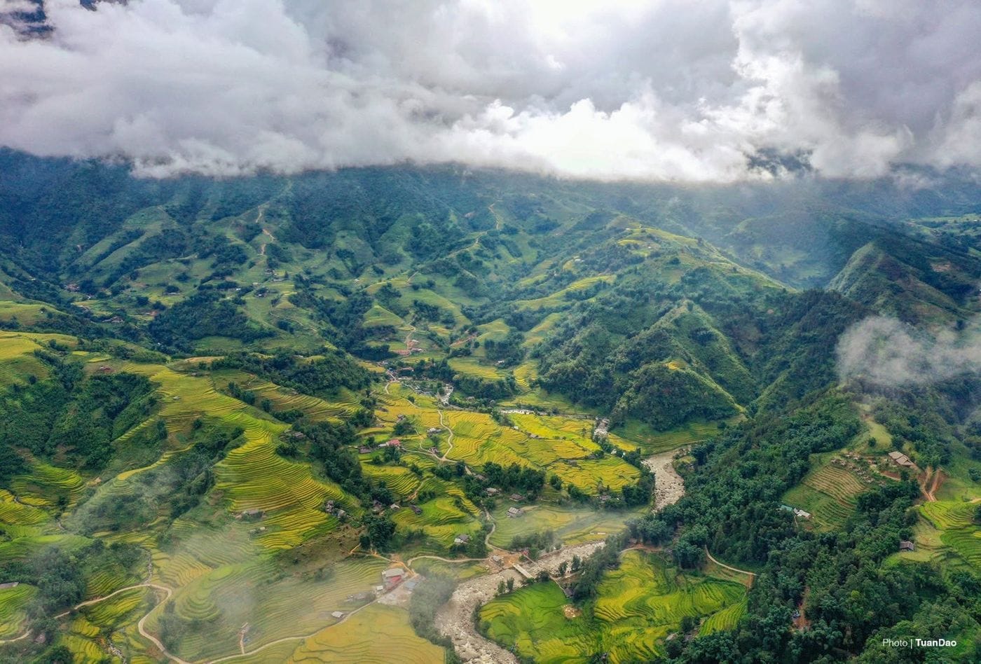 The Muong Hoa valley in harvest season seen from above near Ta Van, with clouds over the peaks.