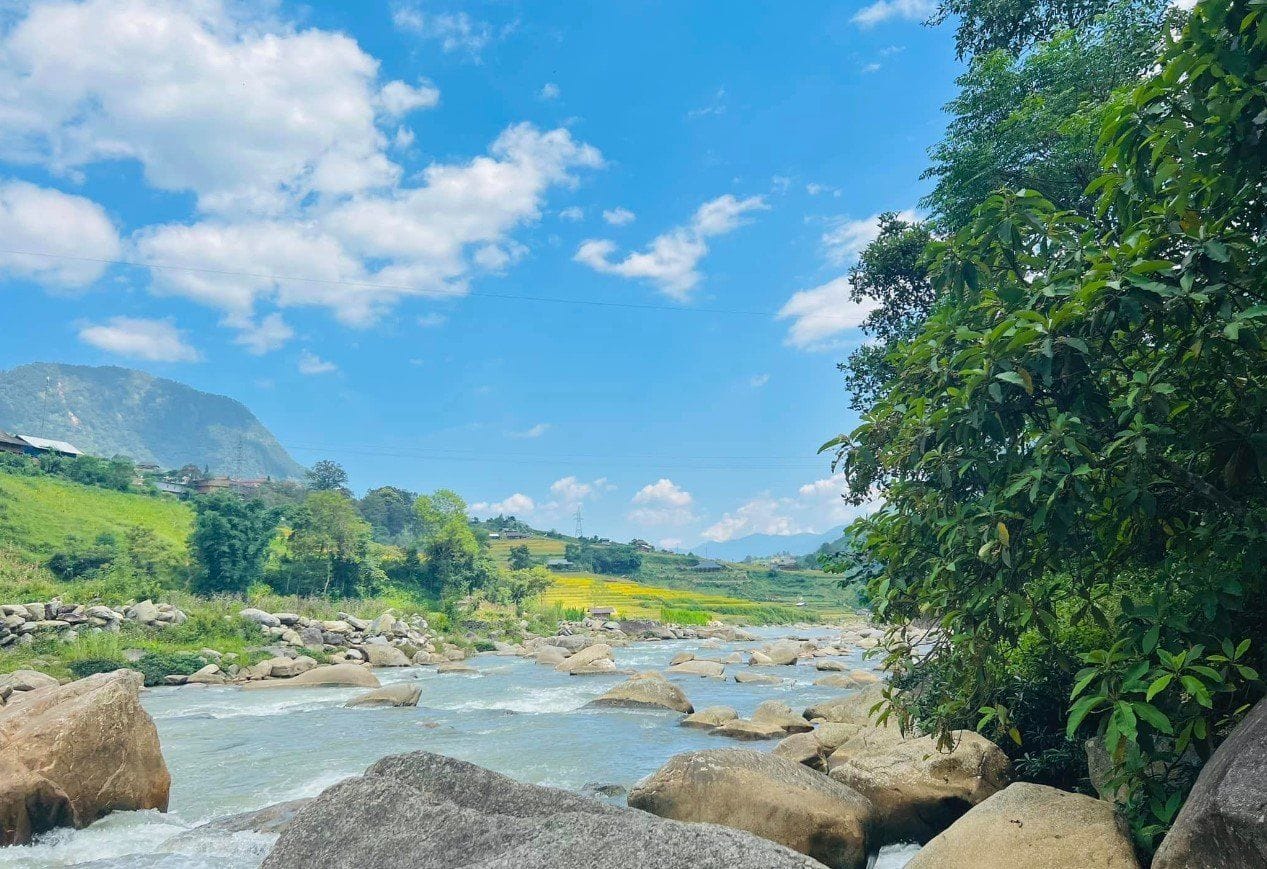 The Muong Hoa stream running over boulders under a blue sky, rice fields on both banks.