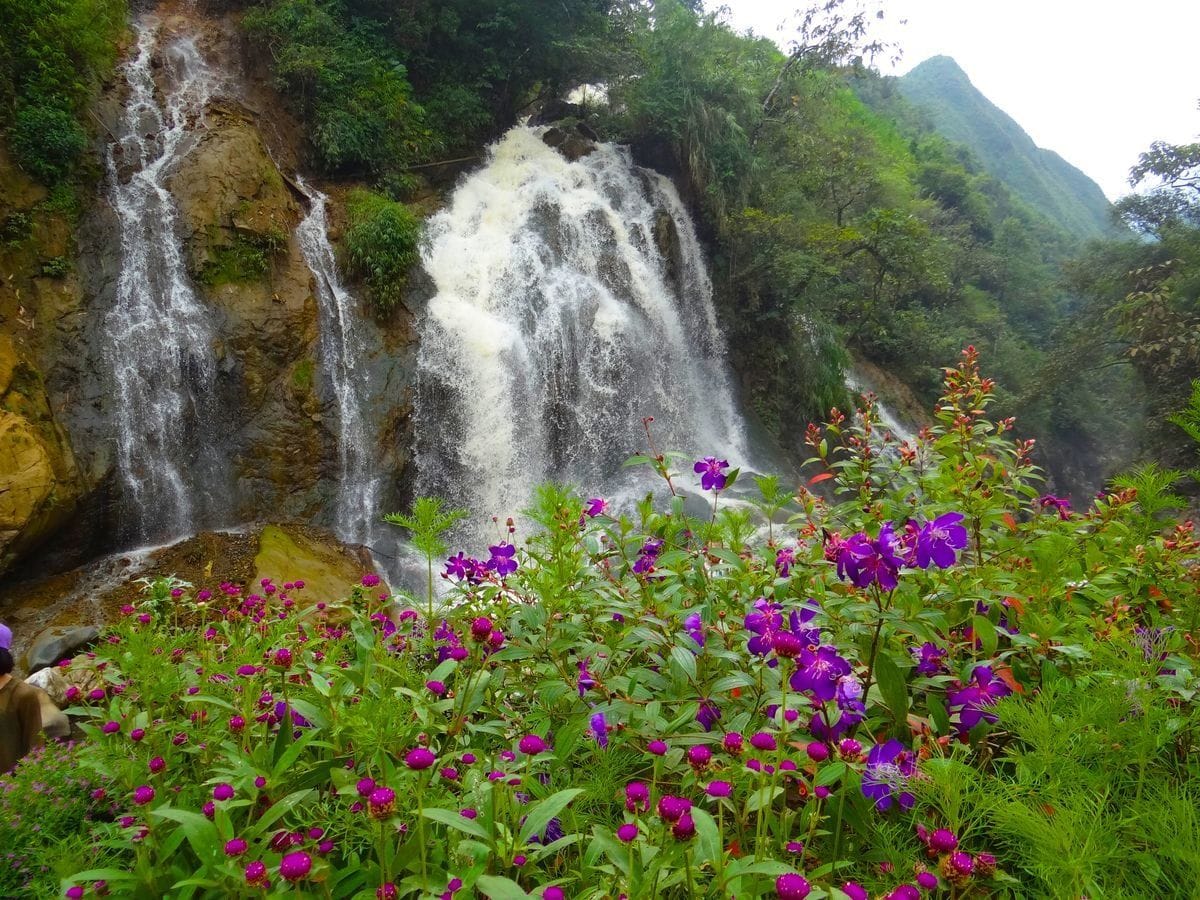 Tien Sa (Cat Cat) waterfall pouring down behind a bank of purple flowers.