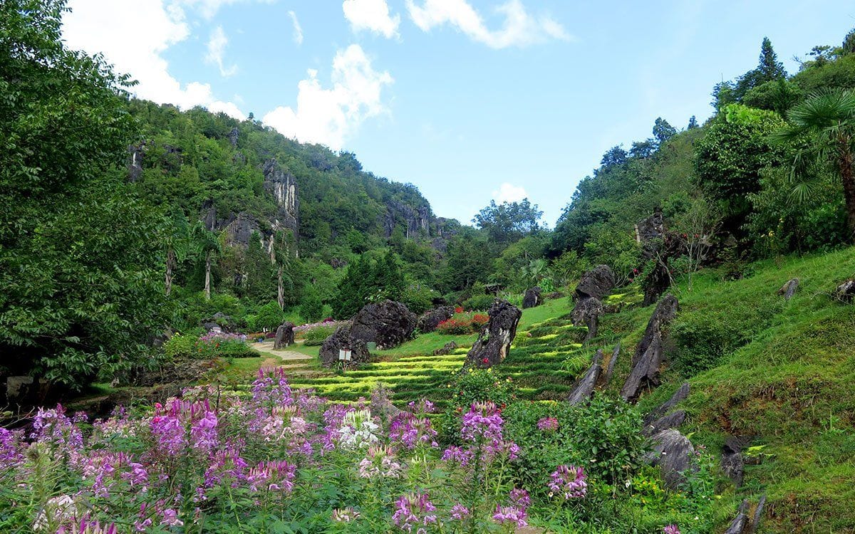 The flower valley and limestone rock garden on Ham Rong mountain on a sunny day.
