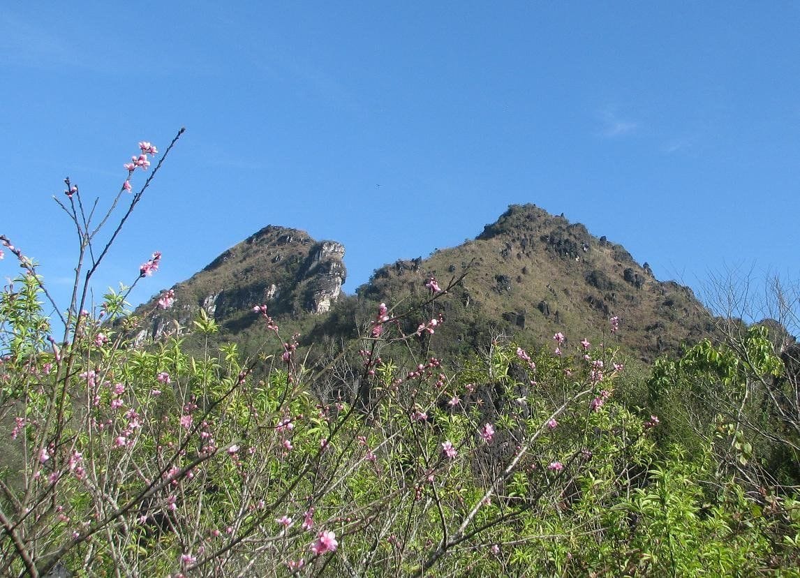 Peach blossom in front of the twin rocky peaks of Ham Rong.