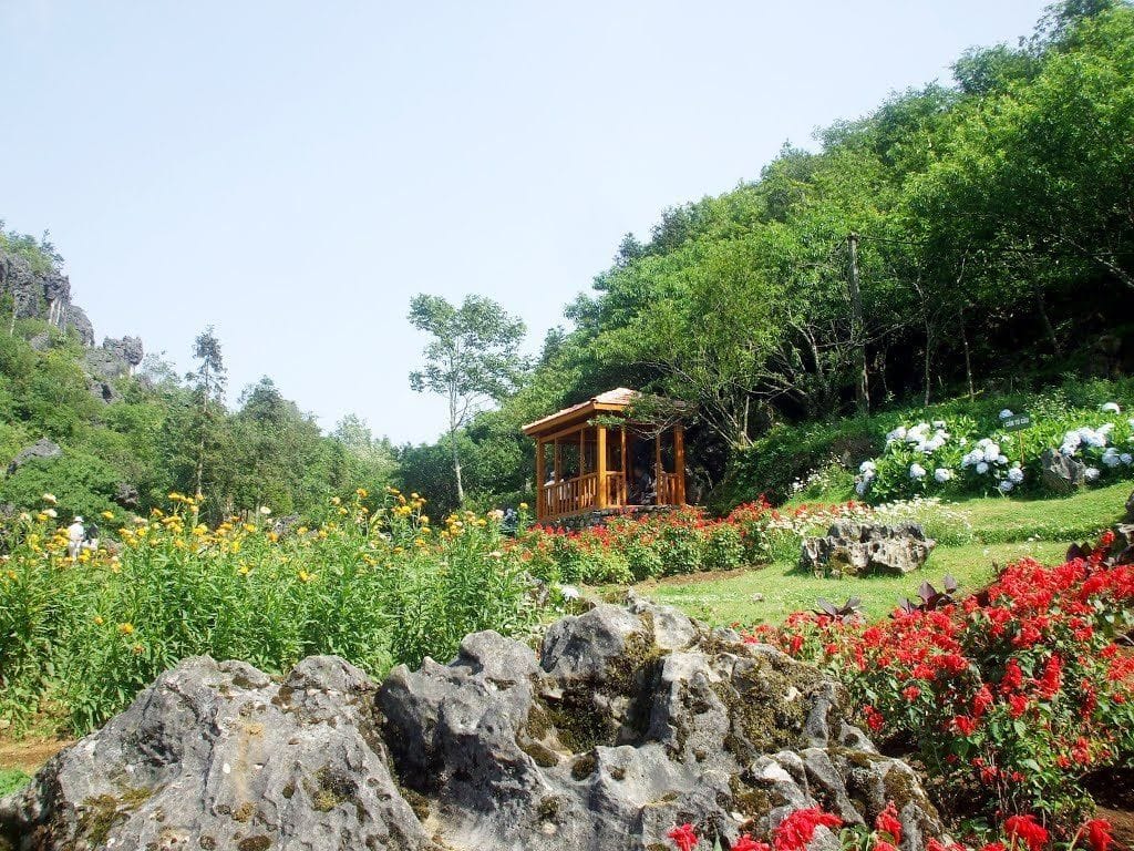 A flower garden with a wooden pavilion, hydrangeas and red flowers on the way up the mountain.