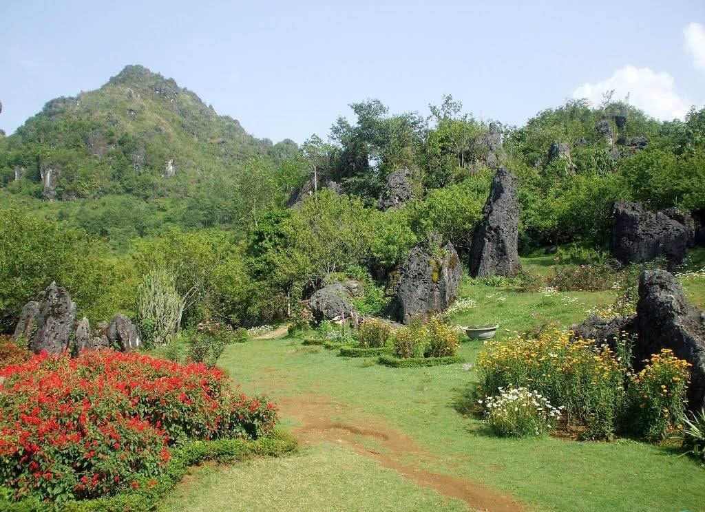 The Thach Lam stone garden, with upright rocks among grass and flowers.