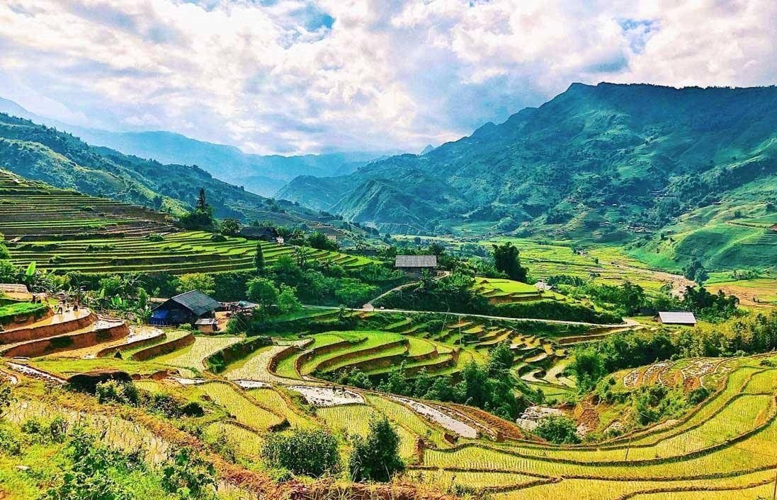 Panorama des Tals zwischen Lao Chai und Ta Van, die Hänge gesäumt von grünen und goldenen Reisterrassen.