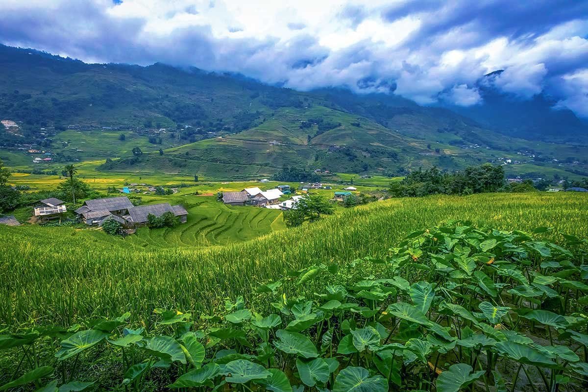 Green rice fields surrounding the houses of Lao Chai under a cloudy sky.