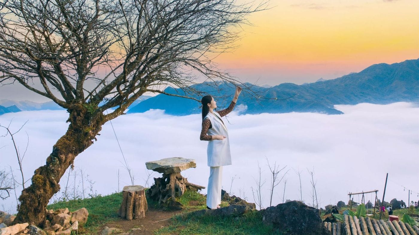 The lonely-tree corner, with a woman gazing at the sea of clouds at sunrise.