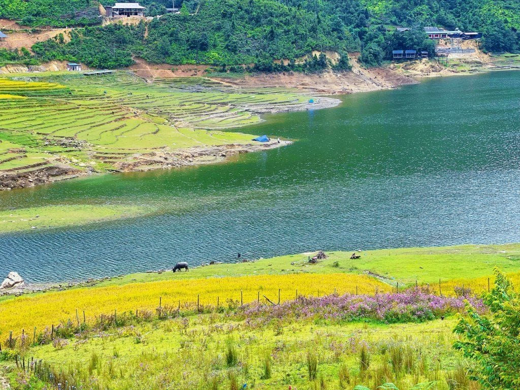 Rice terraces and grassy banks along Seo My Ty lake.