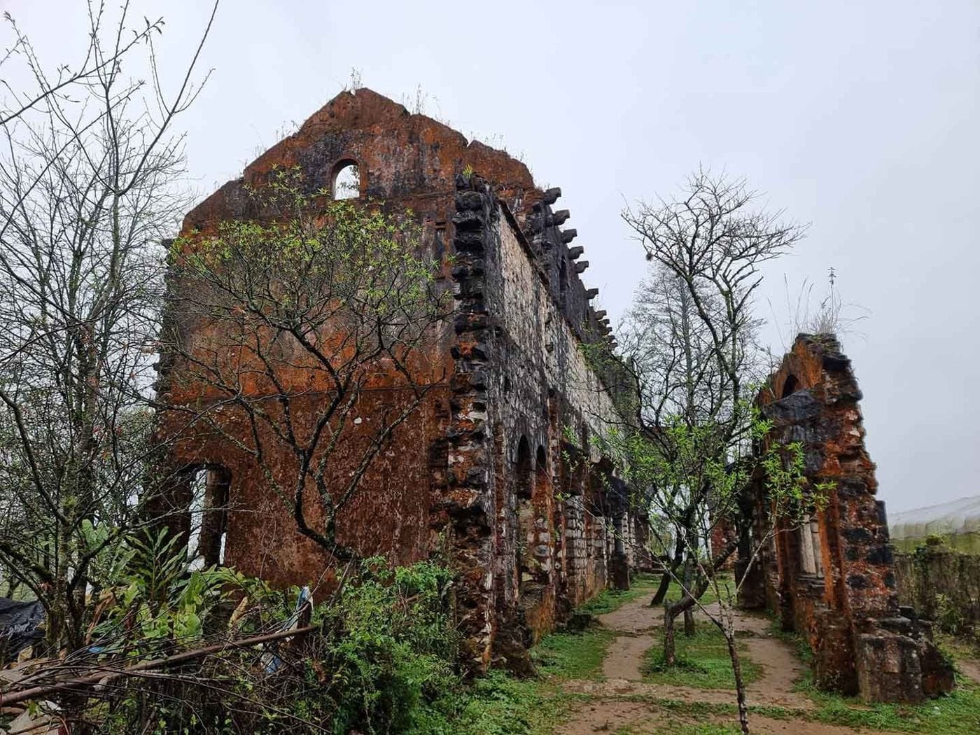 The old Ta Phin monastery, now only crumbling stone walls among the trees.