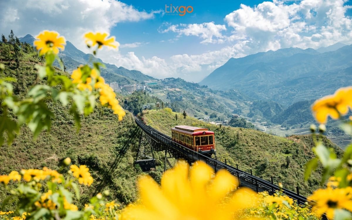 The train passing wild sunflowers, with the valley and mountains behind